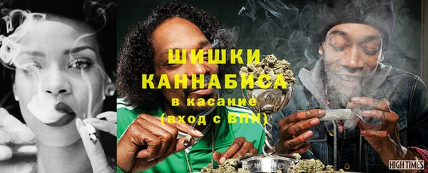 твердый Алзамай