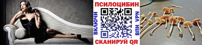 Галлюциногенные грибы Magic Shrooms Лобня